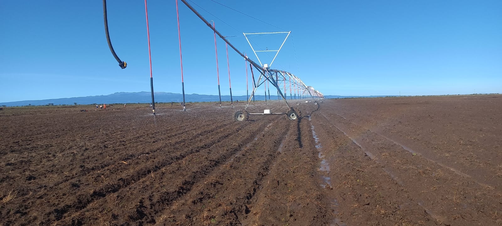 Irrigation Projects